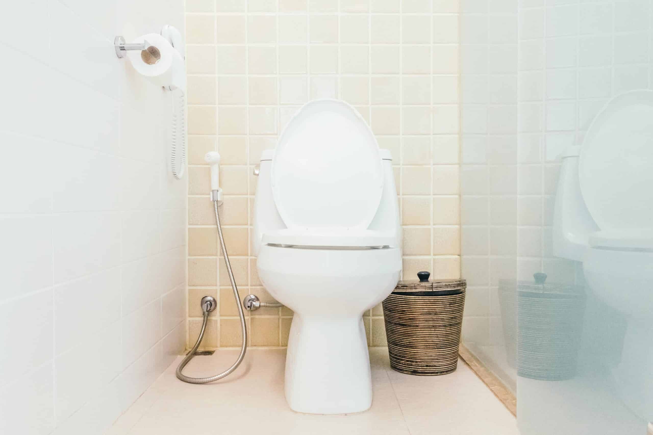 Warm Welcome Toilet Repair New Toilet Installation